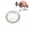 Brain Enhance CAS 77191-36-7用の向知性99％パウダーネフィラセタムパウダー